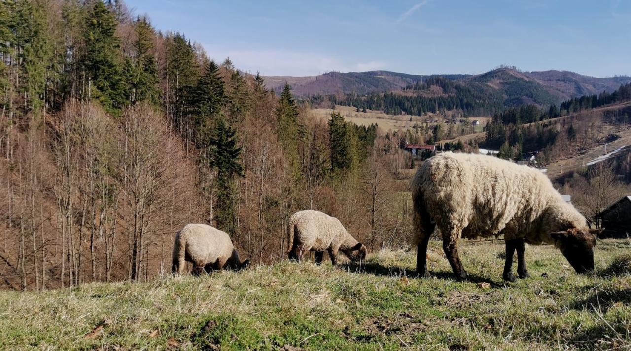 Penzion Rzehaczek Dolní Lomná Eksteriør billede